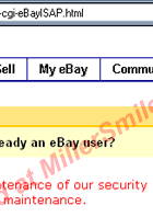 eBay Security Measures: Verify your identity