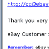 eBay email scam and bogus web site